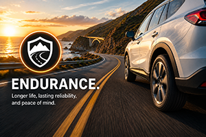 Vehicle Endurance